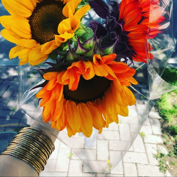 Meet your Posher, Jenny - Picture 1 of 1